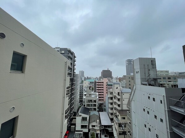 中電前駅 徒歩4分 10階の物件内観写真